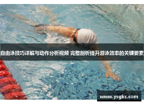 自由泳技巧详解与动作分析视频 完整剖析提升游泳效率的关键要素