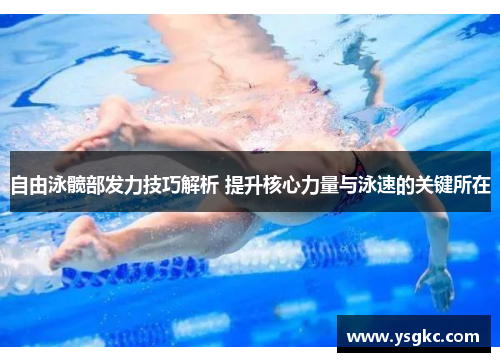自由泳髋部发力技巧解析 提升核心力量与泳速的关键所在