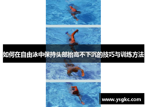 如何在自由泳中保持头部抬高不下沉的技巧与训练方法